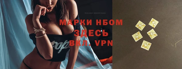 МДПВ Горнозаводск